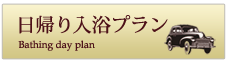 日帰り入浴プラン一覧