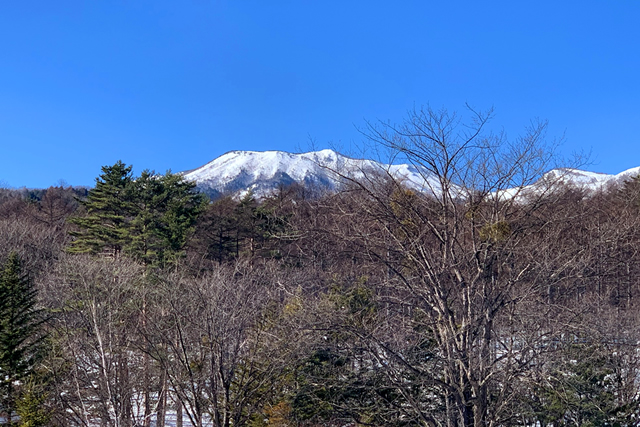 露天風呂付デラックスツイン